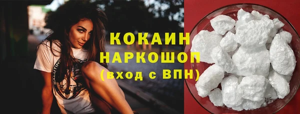 прущие грибы Сафоново