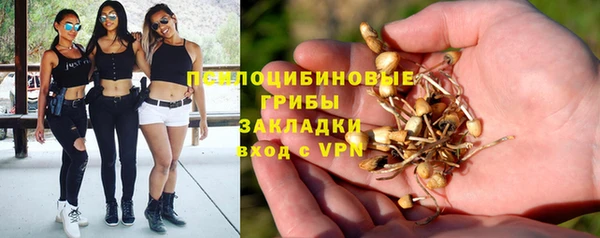 герыч Арсеньев