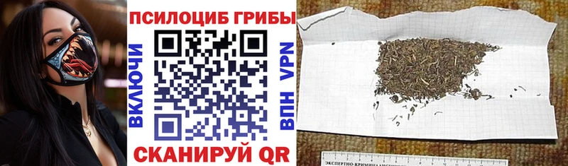 хочу   Асбест  Галлюциногенные грибы ЛСД 