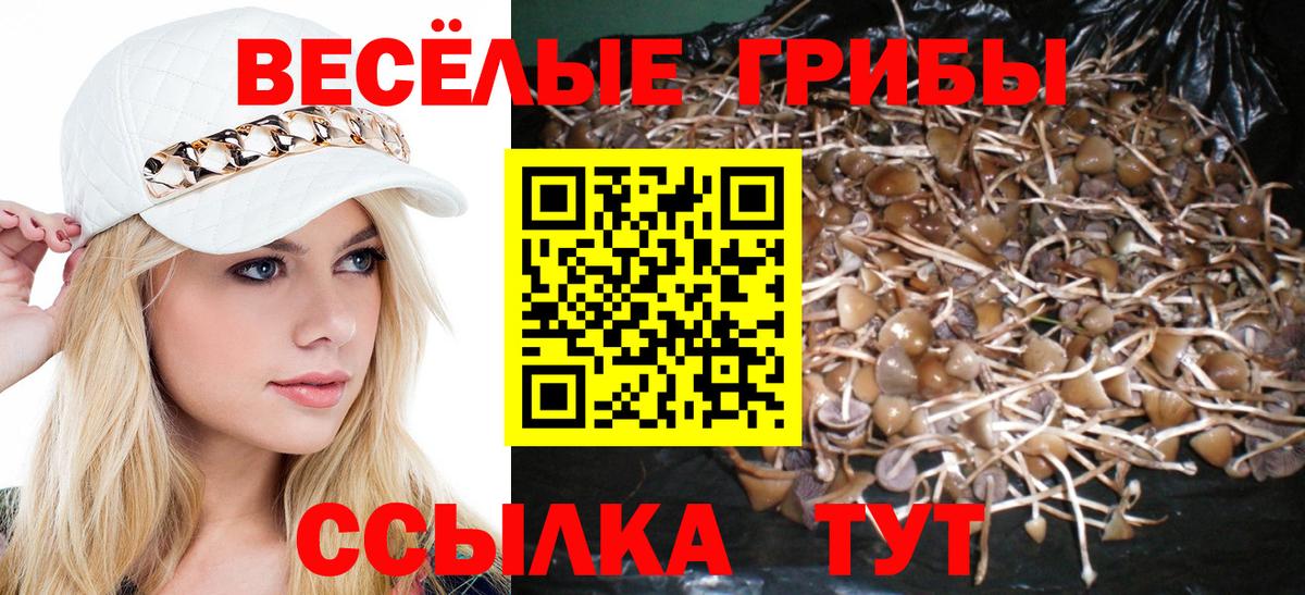 Галлюциногенные грибы Psilocybe Асбест