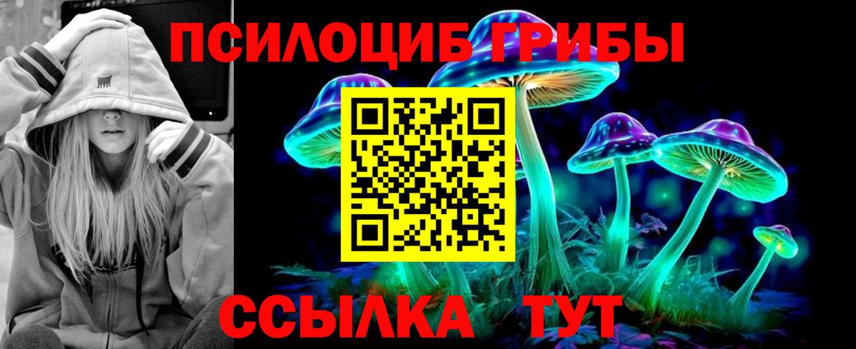 Псилоцибиновые грибы Psilocybe  наркотики  Вход с VPN  Асбест  Псилоцибиновые грибы мухоморы 